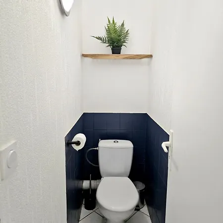 Tour Est - T2 Entre Cite Medievale Et Bastide קרקסון